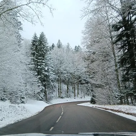 2 Chambres, Max 6 Pers, Proche Des Stations, Centre-ville - Fr-1-589-666 كورنيمونت